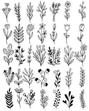 El çizimi çiçekler karalama