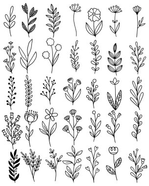 El çizimi çiçekler karalama