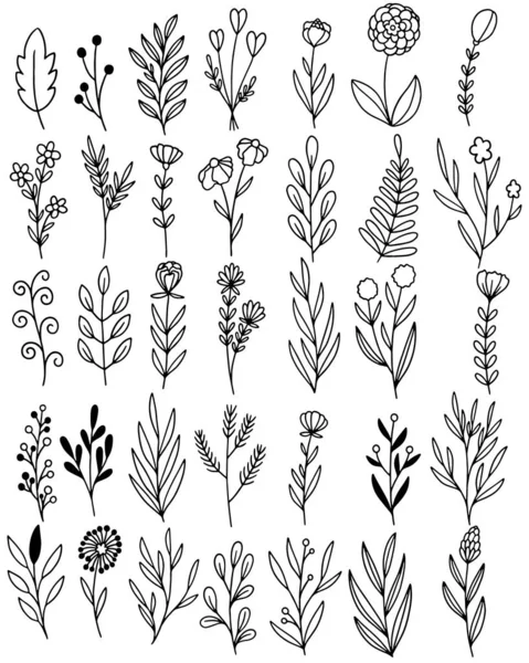 Handgetekende Bloemen Doodle — Stockvector