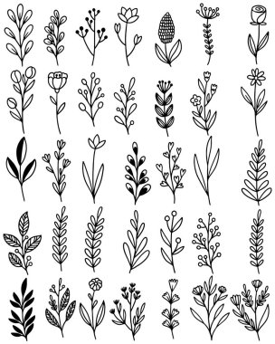 0130 el çizimi çiçekler karalama