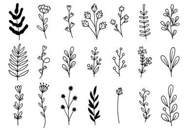 0117 el çizimi çiçekler karalama