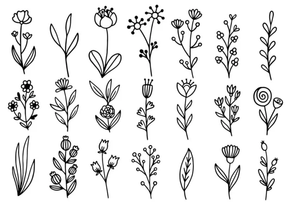 0142 Handgetekende Bloemen Doodle — Stockvector