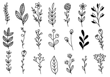 0147 el çizimi çiçekler karalama