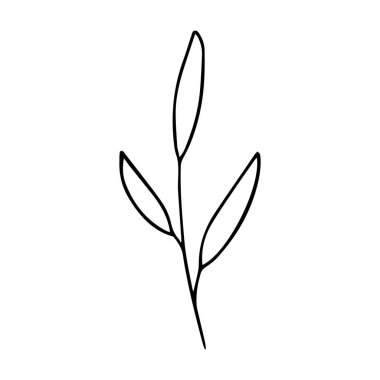 0150 el çizimi çiçekler karalama