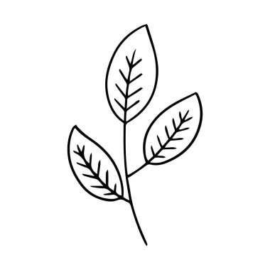 0150 el çizimi çiçekler karalama