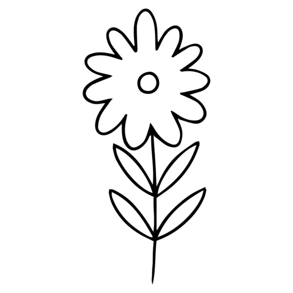 0150 Handgetekende Bloemen Doodle — Stockvector