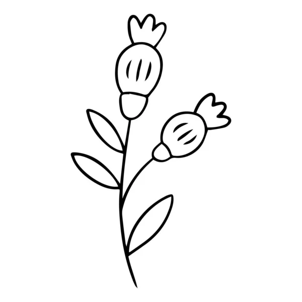 0150 Handgezeichnete Blumen Kritzeln — Stockvektor