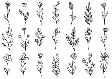 0157 el çizimi çiçekler karalama