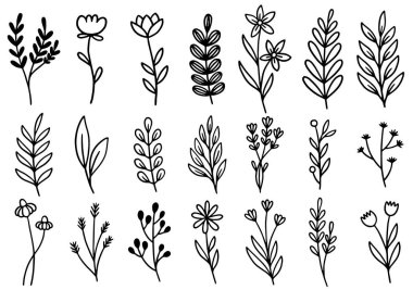 0172 el çizimi çiçekler karalama