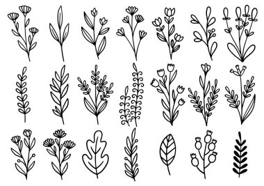 0182 el çizimi çiçekler karalama