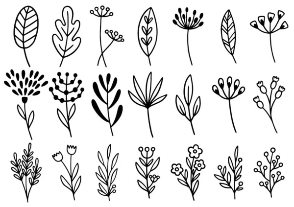 0182 Fleurs Dessinées Main Doodle — Image vectorielle