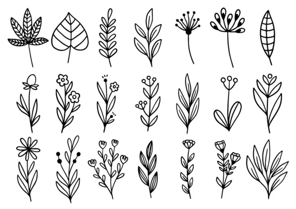 0182 Рука Намальовані Квіти Каракулі — стоковий вектор