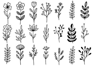 0192 el çizimi çiçekler karalama