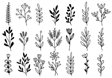 0192 el çizimi çiçekler karalama