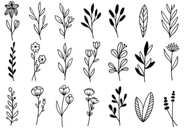 0192 el çizimi çiçekler karalama