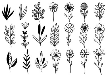 0192 el çizimi çiçekler karalama