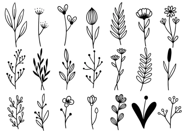 0192 Рука Намальовані Квіти Каракулі — стоковий вектор