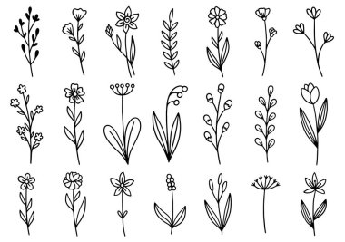 0204 el çizimi çiçekler karalama