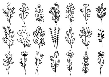 0204 el çizimi çiçekler karalama