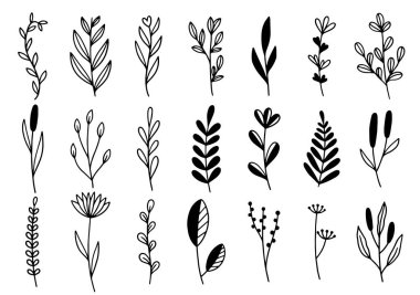 0202 el çizimi çiçekler karalama