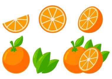 Orangutan. Beyaz arkaplanda Turuncu Resimli Meyve Vektörü Tasarımı.