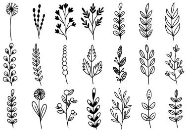 0222 el çizimi çiçekler karalama