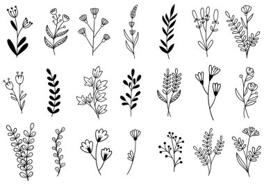 0229 el çizimi çiçekler karalama