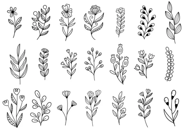 0229 Flores Dibujadas Mano Garabato — Vector de stock