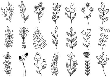 El çizimi çiçekler karalama