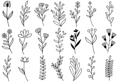 El çizimi çiçekler karalama