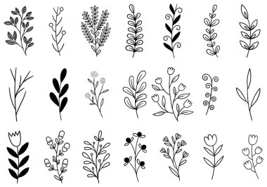 0248 el çizimi çiçekler karalama