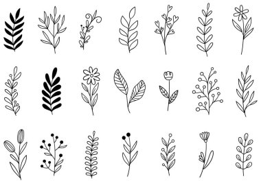 0258 el çizimi çiçekler karalama