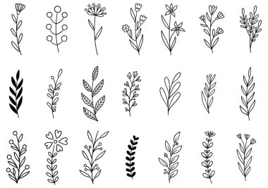 0258 el çizimi çiçekler karalama