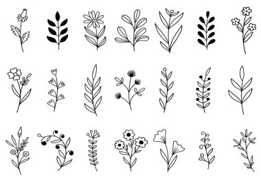 0268 el çizimi çiçekler karalama