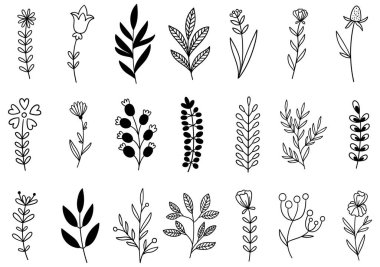 0268 el çizimi çiçekler karalama