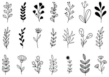 0268 el çizimi çiçekler karalama