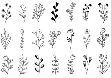 0268 el çizimi çiçekler karalama