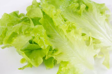 taze salata yaprağı meşe yaprağı)