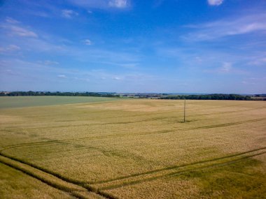 Fransa 'nın kuzeyinde baharda tarlalar