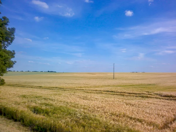 Fields Spring North France — Stock Photo, Image