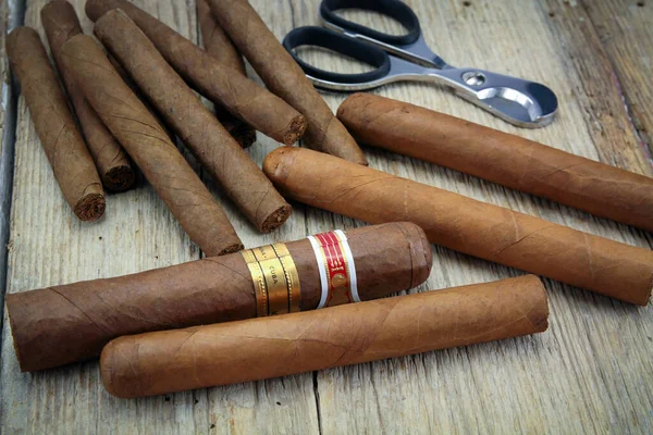 Cigar Cigar Cutter Wooden Background — Stock Photo, Image