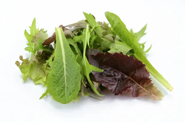 Insalata Mista Verdure Sfondo Bianco — Foto Stock