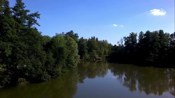 vue aérienne d'un étang bordé d'arbres