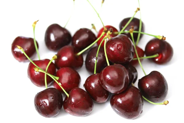 Varias Cerezas Sobre Fondo Blanco — Foto de Stock