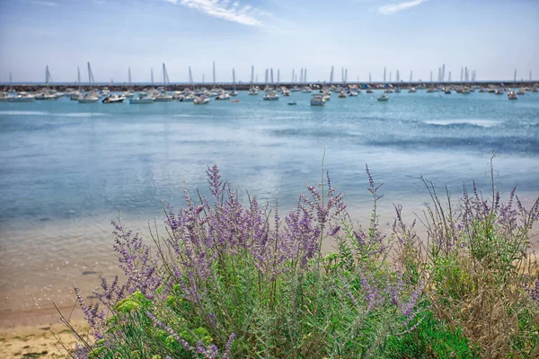 Λιμάνι Της Πόλης Jard Sur Mer Στο Vende — Φωτογραφία Αρχείου