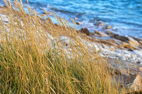 Naplemente Jars Sur Mer Strandon Vende Ben — Stock Fotó