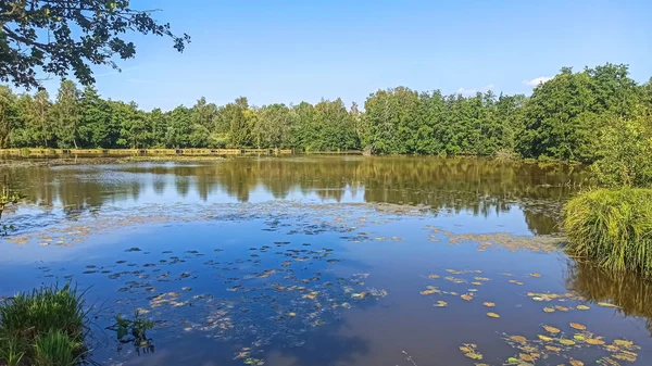 Pequeño Estanque Verano Norte Francia —  Fotos de Stock