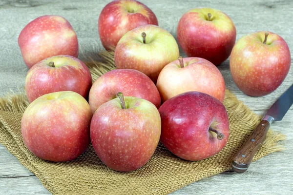 Mehrere Rote Und Grüne Äpfel Auf Einem Klecks — Stockfoto