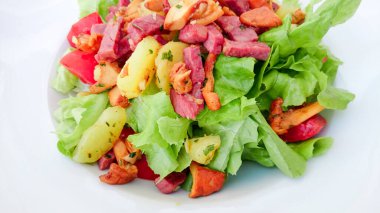 Karışık ördek ve mantar salatası.