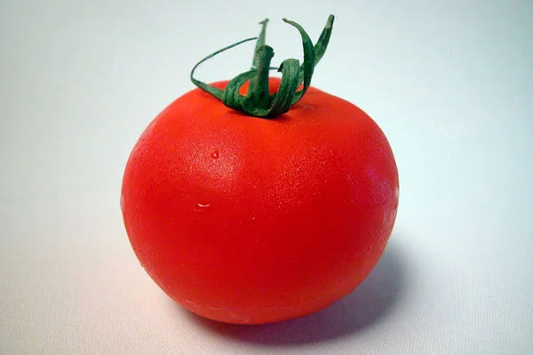 One Red Ripe Tomato Fruit White Background — Stock Photo, Image